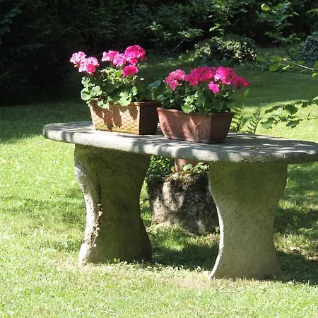 Il Faggio Rosso 아파트 Albiolo