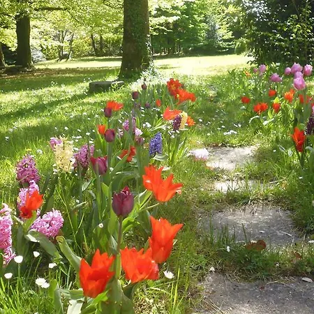 아파트 Il Faggio Rosso *